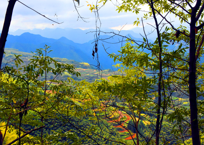 015南尖岩画中画（摄影：冯赣.jpg