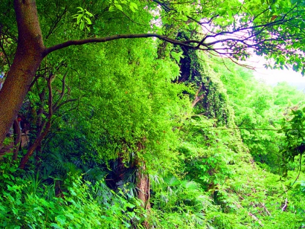 20翠绿石钟山.jpg