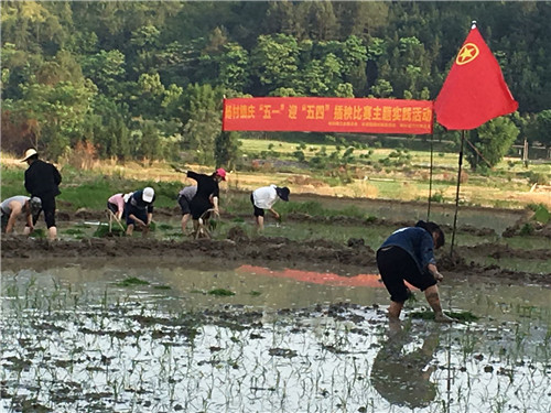 微信图片_20200501131158.jpg
