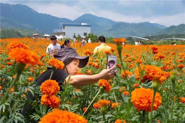 微信图片_20200713171356.jpg