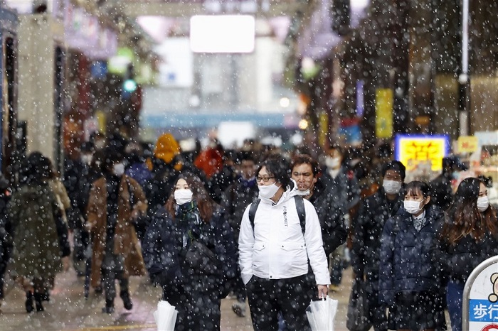 mfile_1563909_1_L_20201207065316.jpg mfile_1563909_1_L_20201207065316.jpg