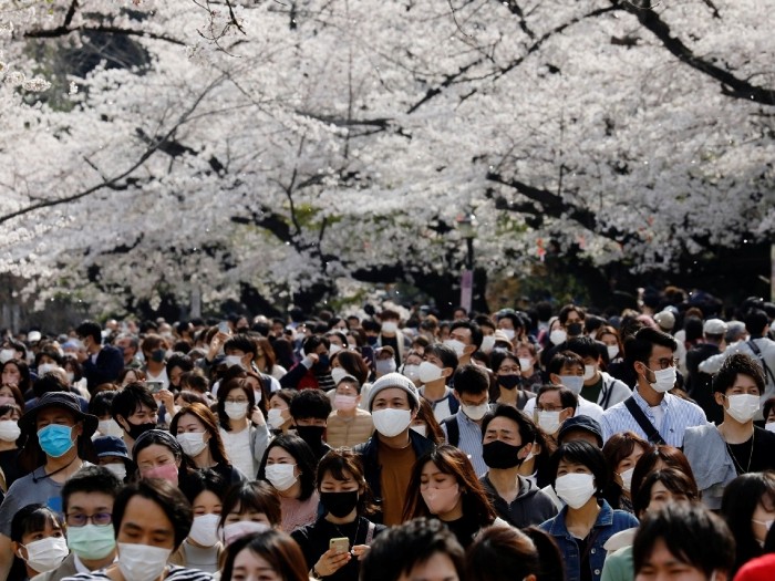 mfile_1583057_1_L_20210329002027.jpg mfile_1583057_1_L_20210329002027.jpg