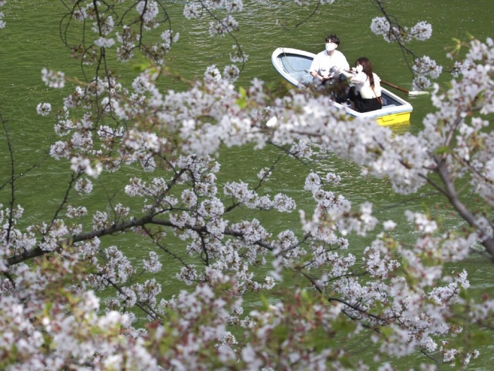 mfile_1583169_1_L_20210329153046.jpg mfile_1583169_1_L_20210329153046.jpg