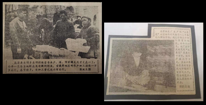 微信图片_20200215175527_看图王.png