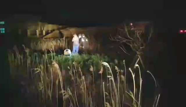 1582635088286892.jpg 微信图片_20200225204004.jpg