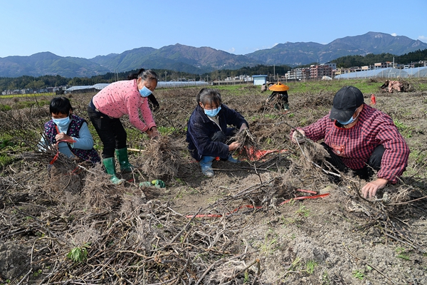 DSC_1815 - 副本.JPG