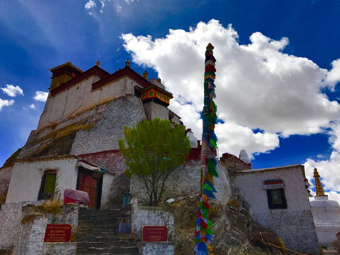 1592454546134547.jpg 005PCGLVzy7bAGtCQ4vc7.jpg