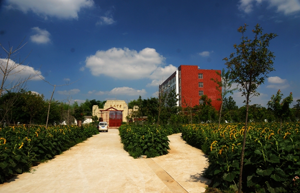 1592606127229359.jpg DSC02212_副本_副本.jpg