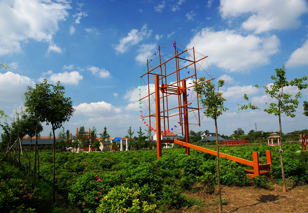 1592606185210468.jpg DSC02241_副本_副本.jpg