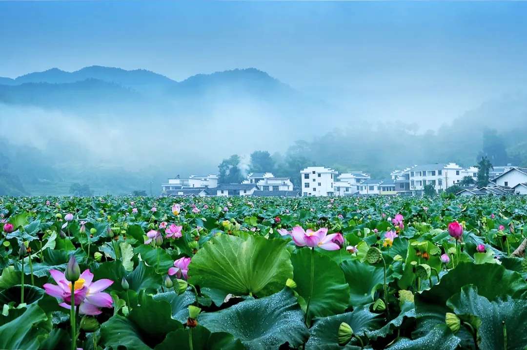 微信图片_20200626034530.jpg