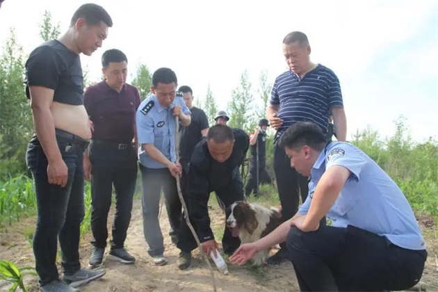 微信图片_20200704194736.jpg