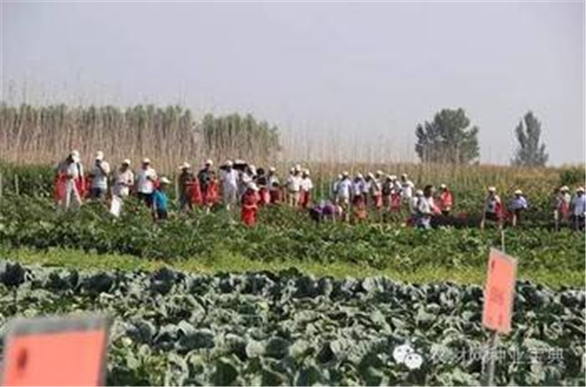 t0128dafaf63d98c253_副本.jpg
