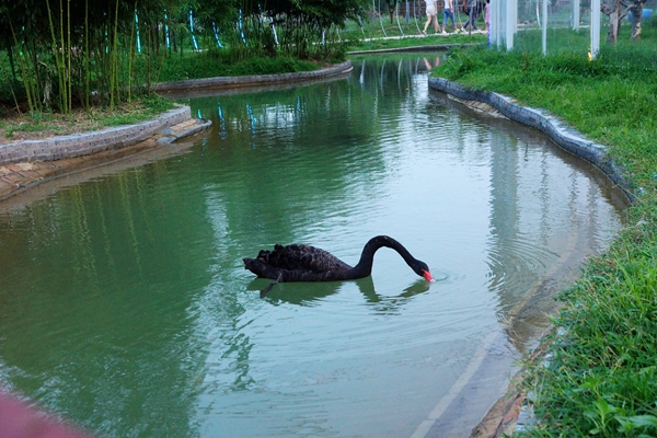 DSC09157_副本_副本.jpg