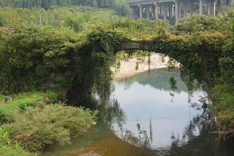 启秀桥_副本.jpg