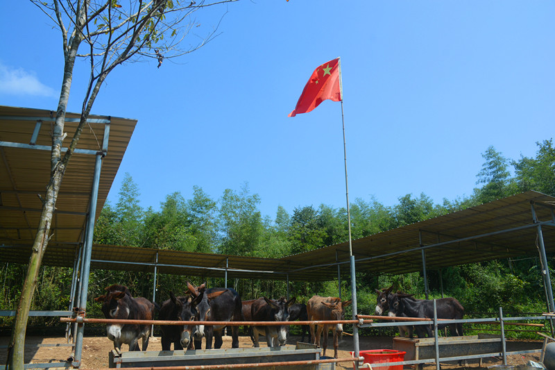 养殖基地_副本.jpg