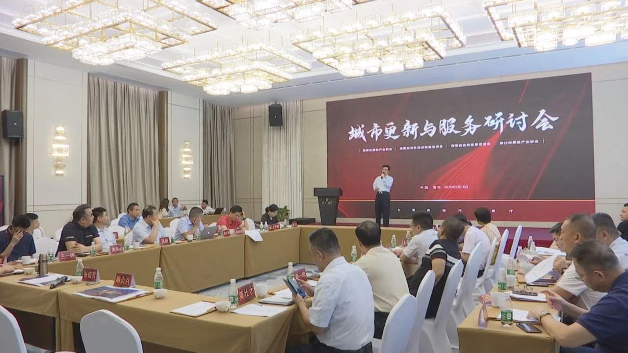 洋浦经济开发区工委委员、副主任张信芳发言.jpg