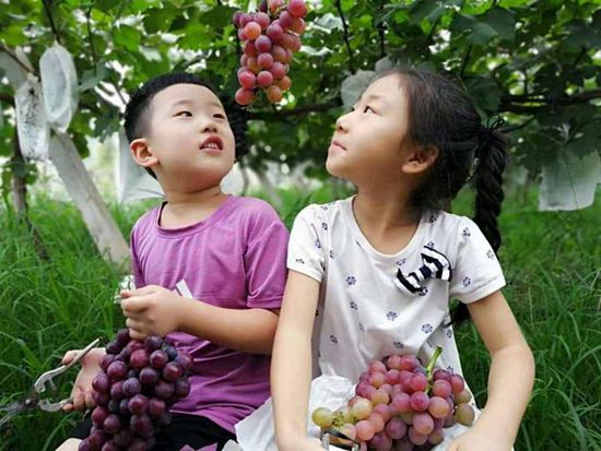 微信图片_20200920065738.jpg