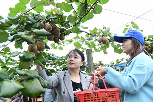 JPG_5466 - 副本.JPG
