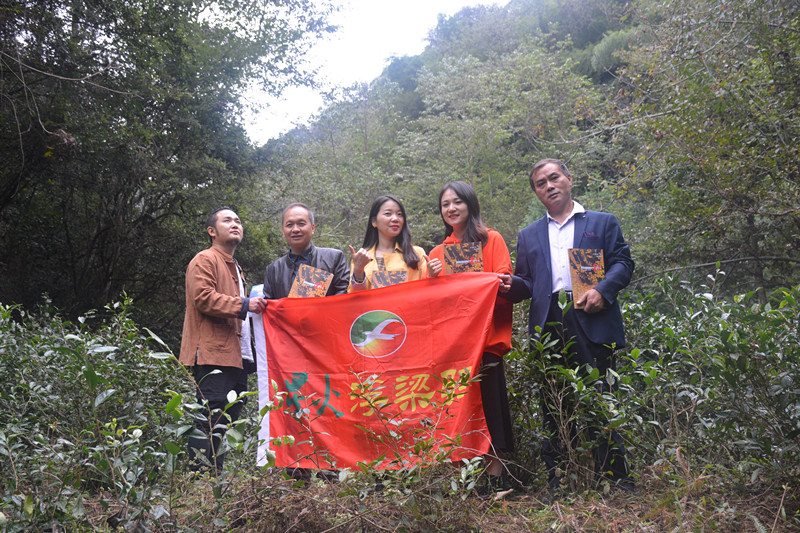 古茶树基地合影_副本.jpg