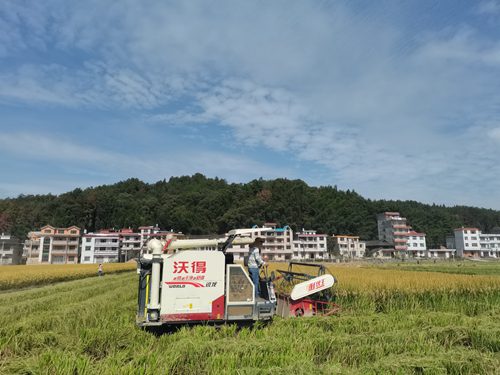 mmexport1603634597954(1) - 副本.jpg