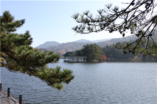 微信图片_20201108094055_副本.jpg