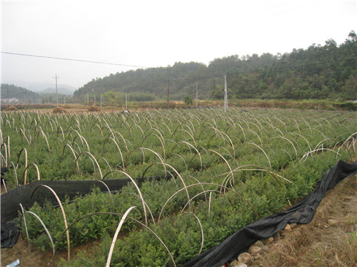 微信图片_20201109093924.jpg