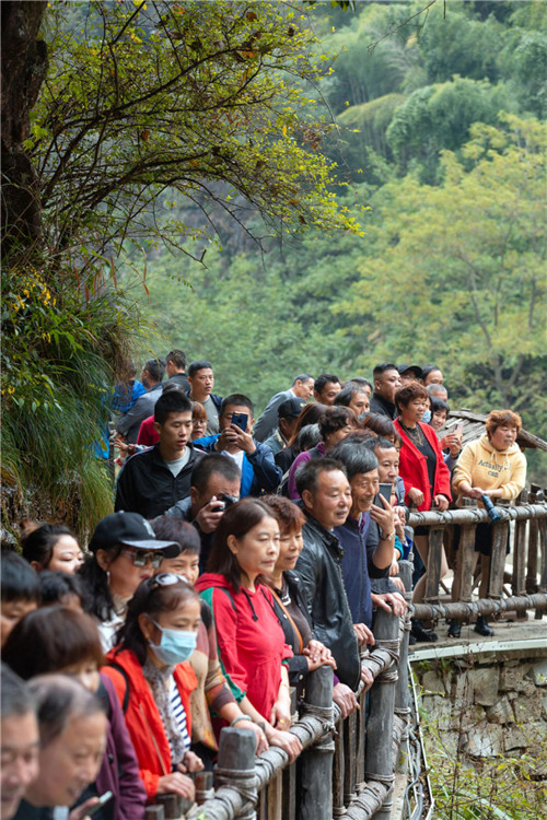 图片8.jpg