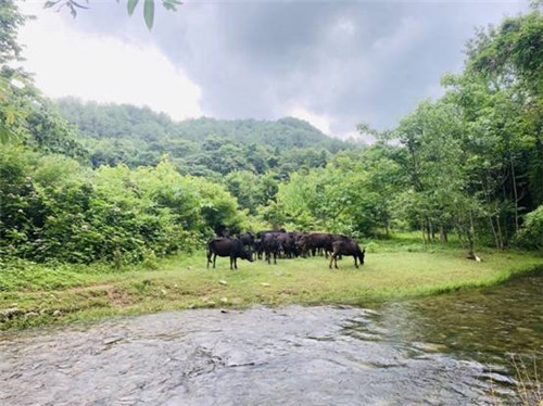 image002_副本.jpg