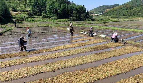 IMG_20201204_094235 - 副本.jpg