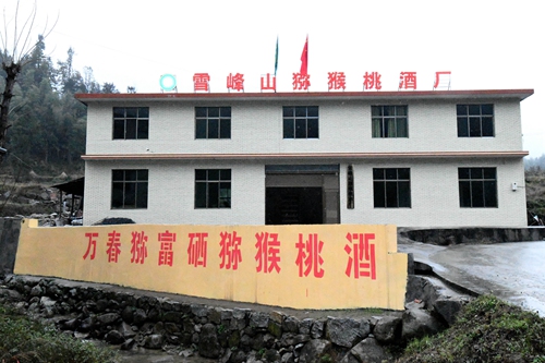 JPG_9269 - 副本.JPG