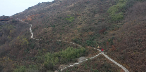 图片6_副本.jpg