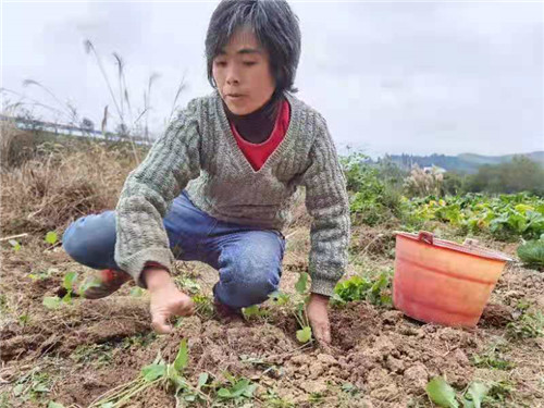 微信图片_20201224111829_副本.jpg