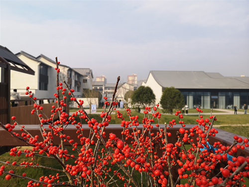 1609211755119576.jpg 4_副本.jpg