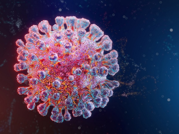 1609331436789073.jpg 1.jpg