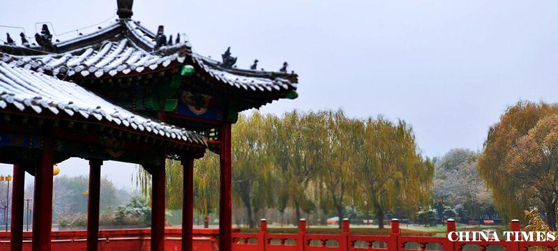 张振国摄影作品展---《毛遂公园》篇