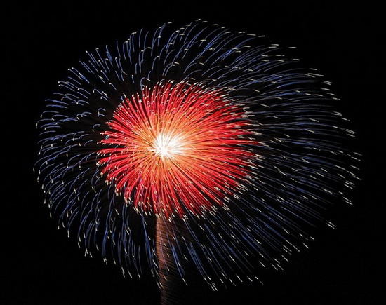 新年烟花2.jpg