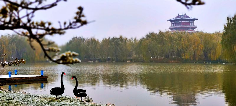 1611387219165973.jpg 0032b4a8f5d07321057266f85b5ef8d_副本.jpg