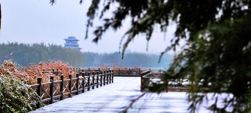 1611387280129022.jpg b61f12e1df4ad2cc6b6f6b70b2ba240_副本.jpg