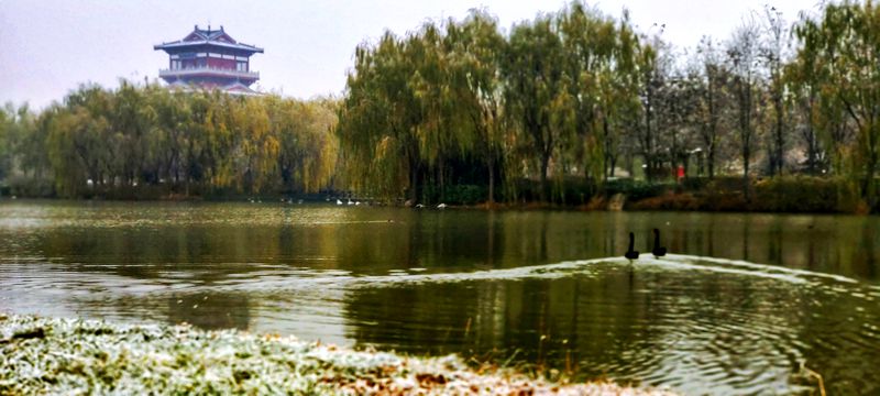 1611387295129263.jpg f4a7ebdac44cd8c397cf49332ecd422_副本.jpg