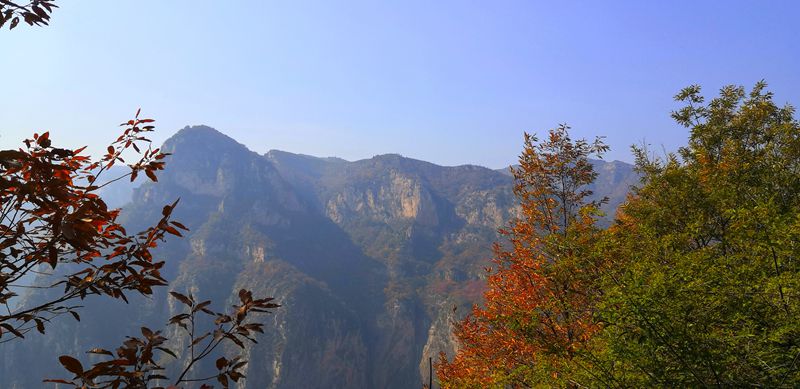 微信图片_20210124220528.jpg