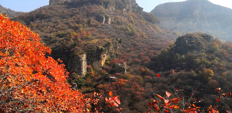 微信图片_20210124220531.jpg