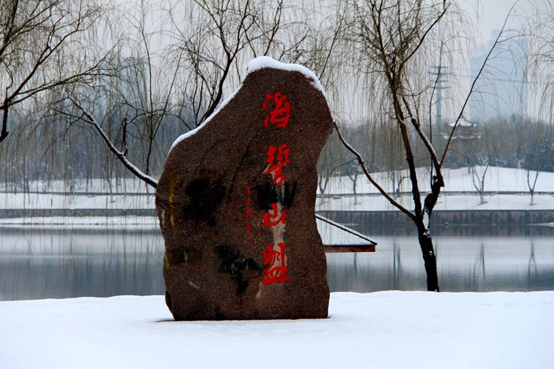IMG_7087_副本_副本.jpg