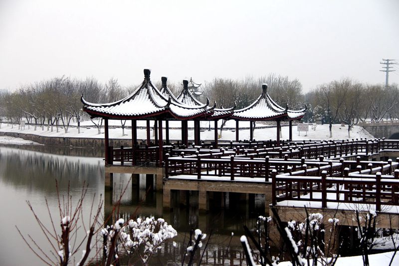 IMG_7098_副本_副本.jpg
