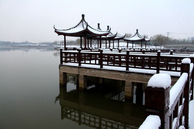 IMG_7115_副本_副本.jpg