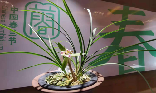 55_副本.png