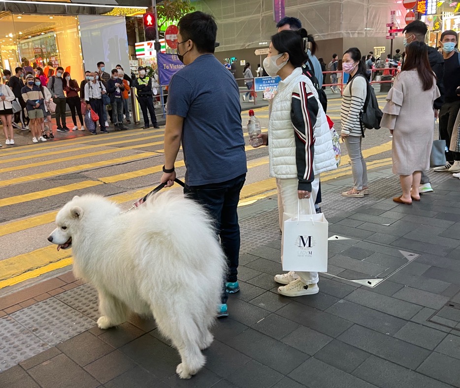 WeChat 圖片_20210207191734.jpg