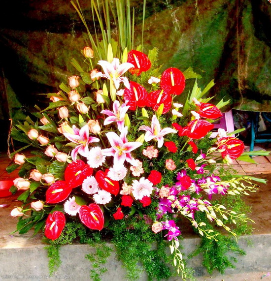三八节花簇1.jpg