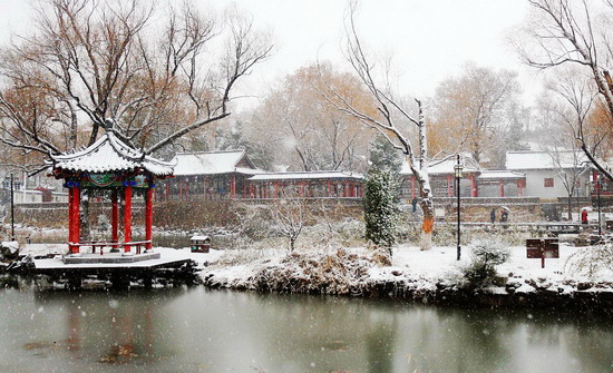 飘雪.jpg