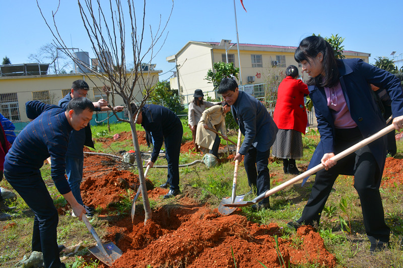共同植树_副本.jpg