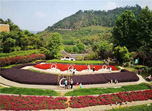 图片11_副本1.jpg